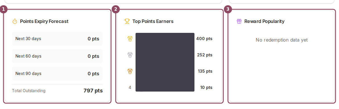 A row of three cards: Points Expiry Forecast, Top Points Earners, and Reward Popularity