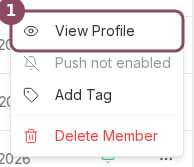 The member row menu with View Profile highlighted