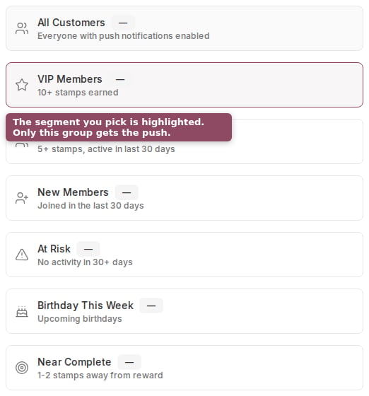 The same segment list with VIP Members selected, shown by a maroon border and tinted background.