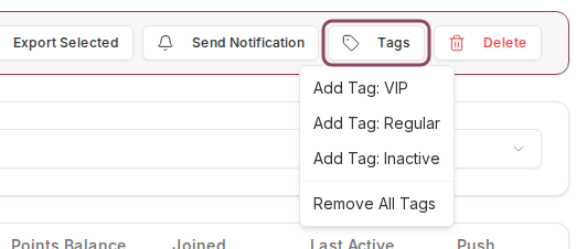 Bulk toolbar with the Tags menu open showing Add Tag VIP, Add Tag Regular, Add Tag Inactive, and Remove All Tags