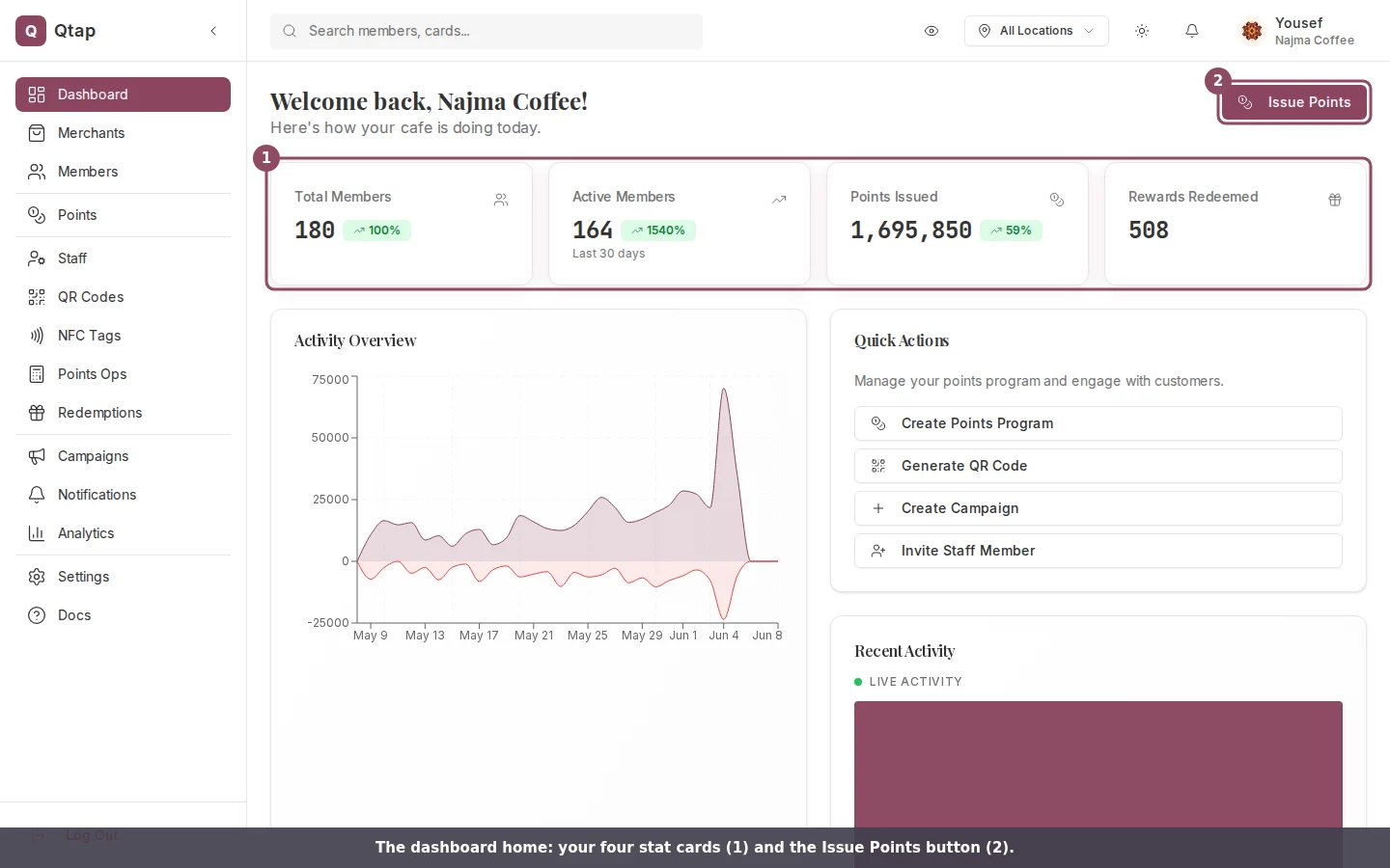 Qtap main dashboard showing the four stat cards and the Issue Points button