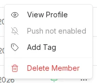 Three-dot row menu showing View Profile, Add Tag, and Delete Member