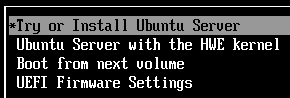 Try or Install Ubuntu Server option