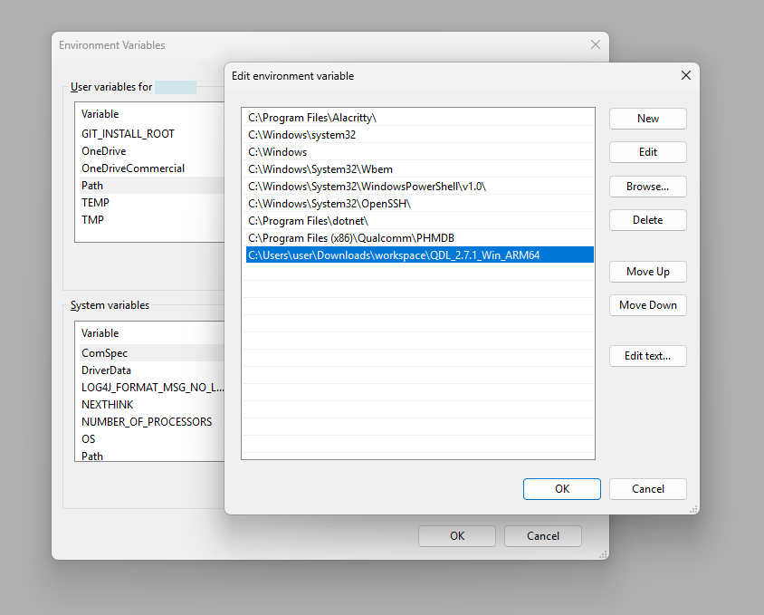 Setup Environment Variables