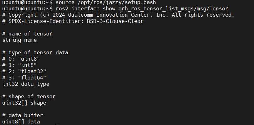 Terminal output of the Tensor message definition showing the name string, data_type integer, shape array, and data buffer fields.