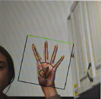 Hand detection result showing an open palm with a skeletal overlay and bounding boxes drawn around the hand and the palm.