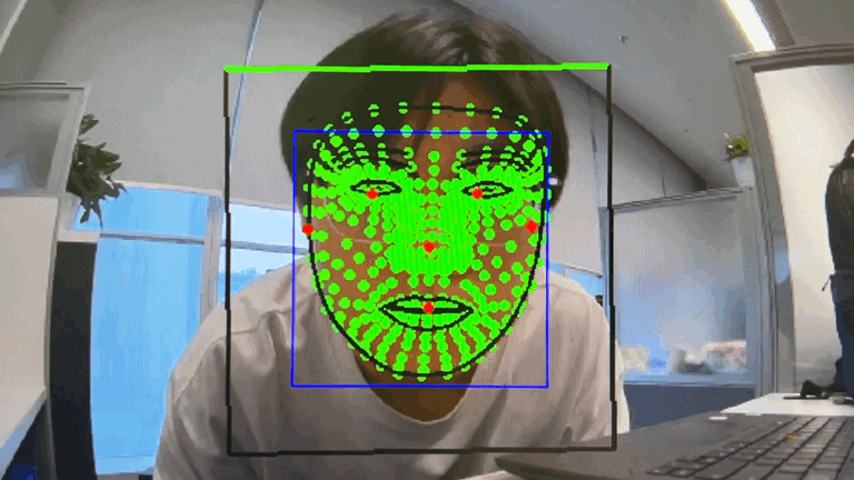 Face detection result with a bounding box and a green facial landmark mesh overlaid on a person in a live camera view.