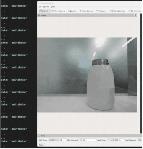 Live camera view of sunglasses with a pink label and a terminal window echoing the classification result on the /resnet101_output topic.