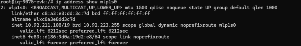 chk_ip
