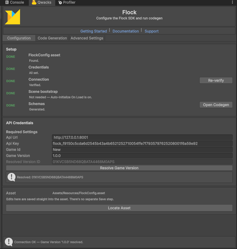Setup checklist showing a verified connection and resolved Game Version
