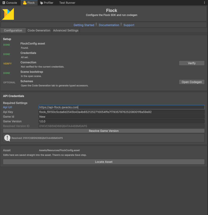 Setup checklist showing a verified connection and resolved Game Version