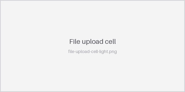 A file upload cell with its upload and process controls