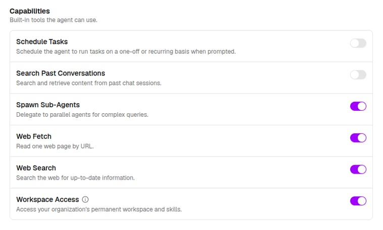 An agent's capability toggles, with the Workspace Access switch below them