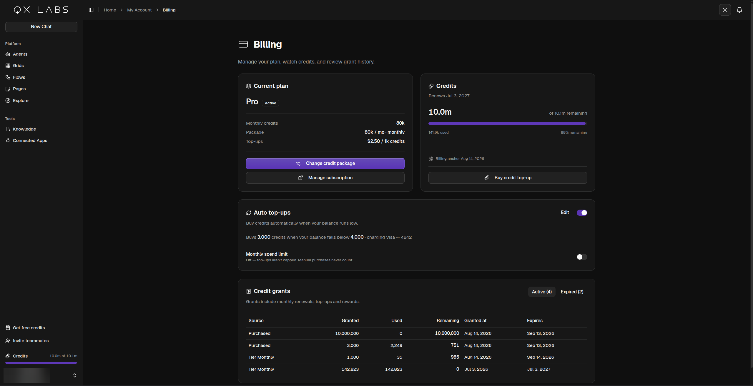The Billing page with the current plan, credits, auto top-ups, and credit grants
