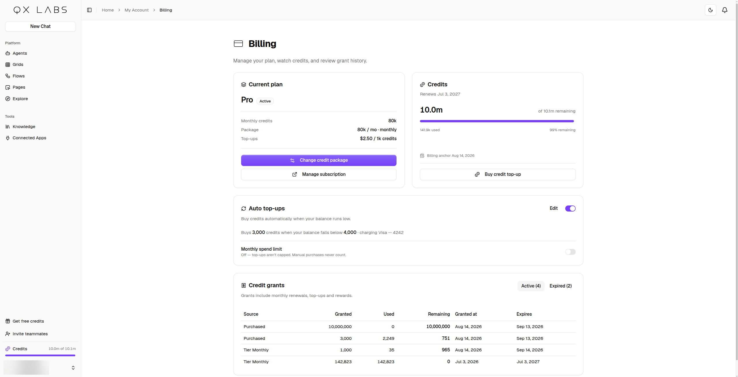 The Billing page with the current plan, credits, auto top-ups, and credit grants