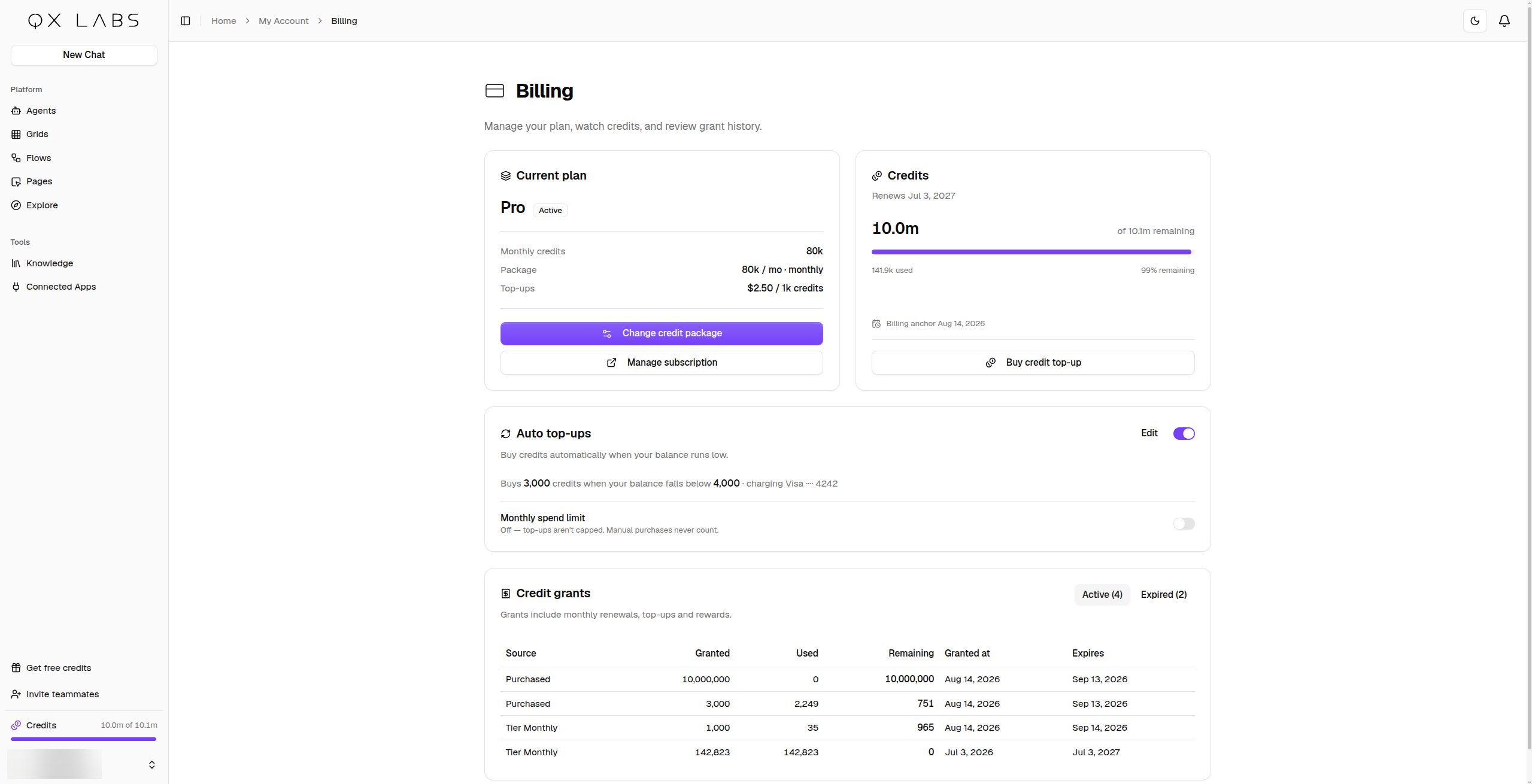 The Billing page with the current plan, credits, auto top-ups, and credit grants