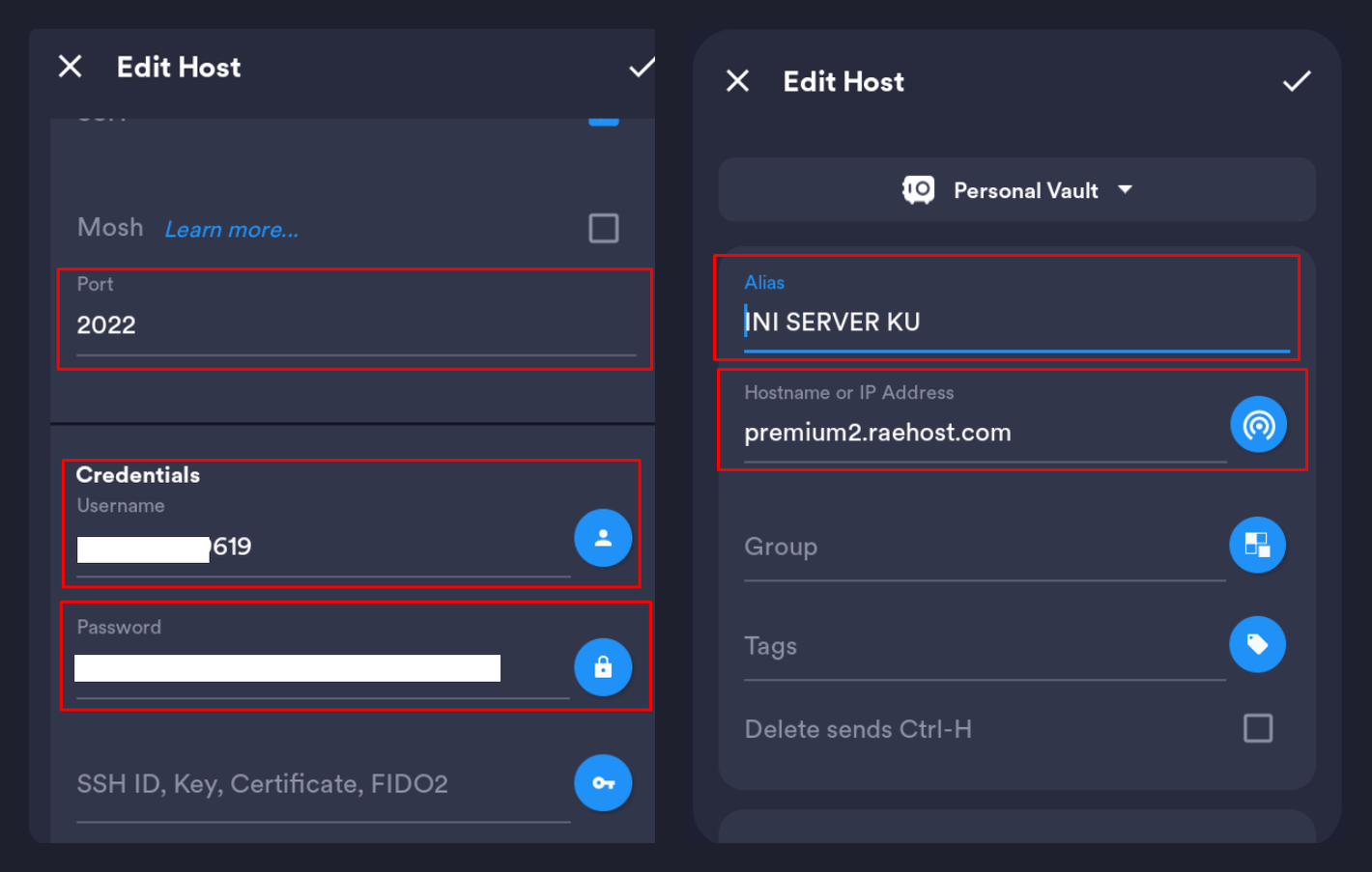Isi Alias, Hostname, Port, Username, dan Password host baru di Termius