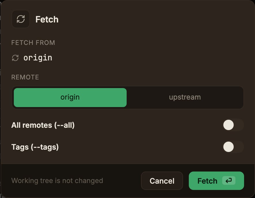 Fetch 출처와 모든 remote·태그 가져오기 옵션을 보여주는 페치 다이얼로그