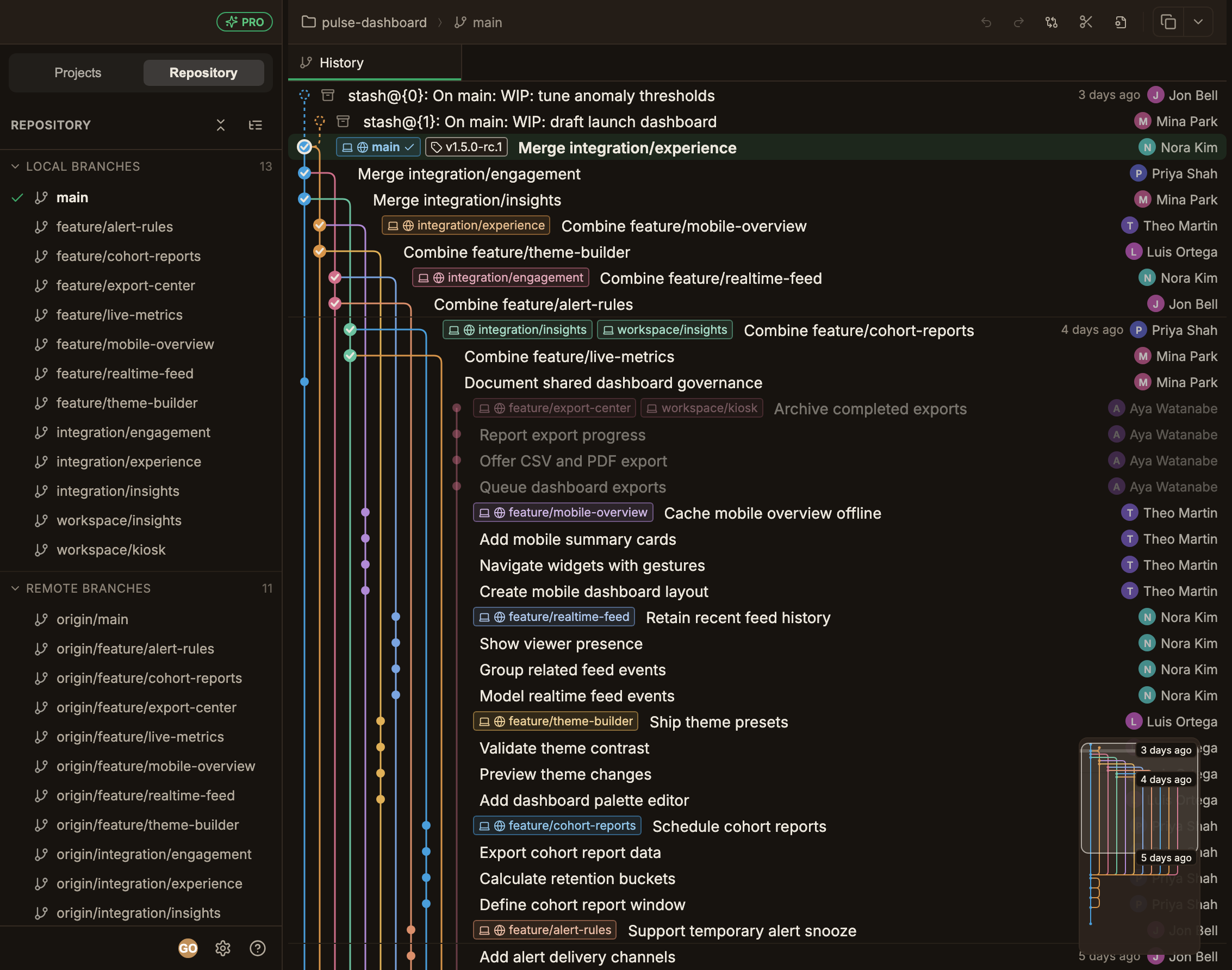 The Repository tab with the Local Branches and Remote Branches sections expanded, a green checkmark next to the checked-out main branch, and the commit graph to its right