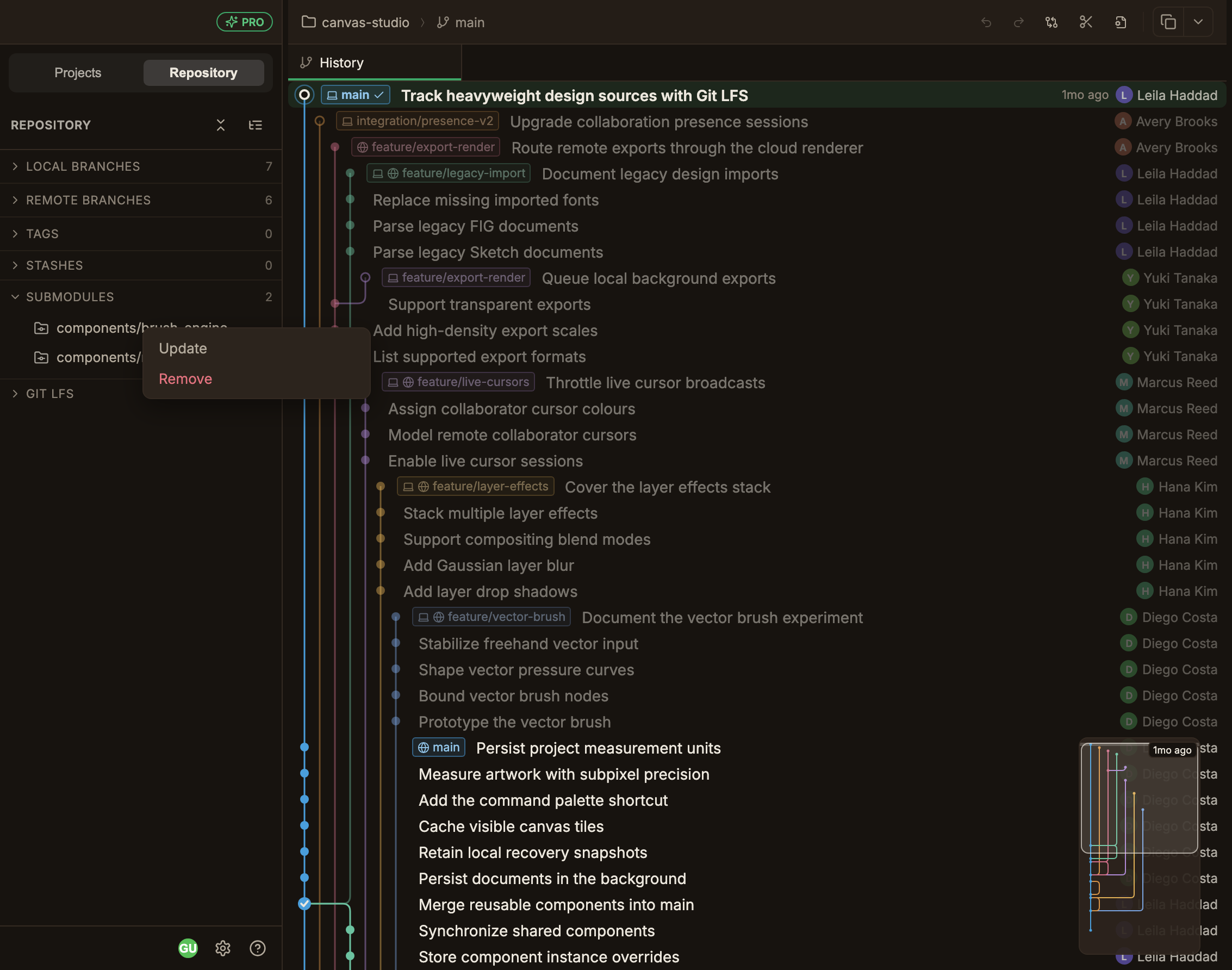 The Repository panel with only the Submodules section expanded, showing a submodule entry right-clicked to open its Update / Remove menu