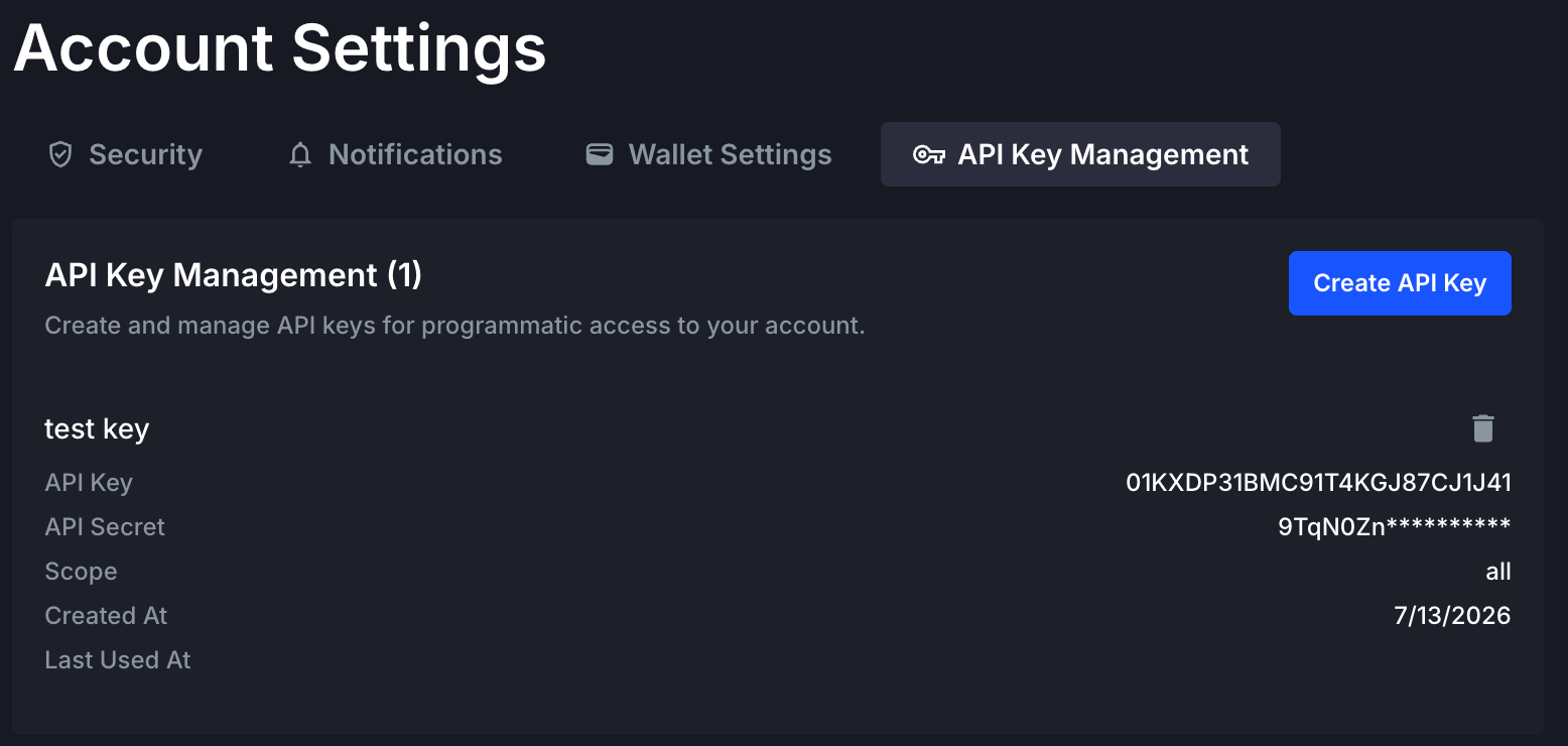 API Key Management table showing the newly created API key