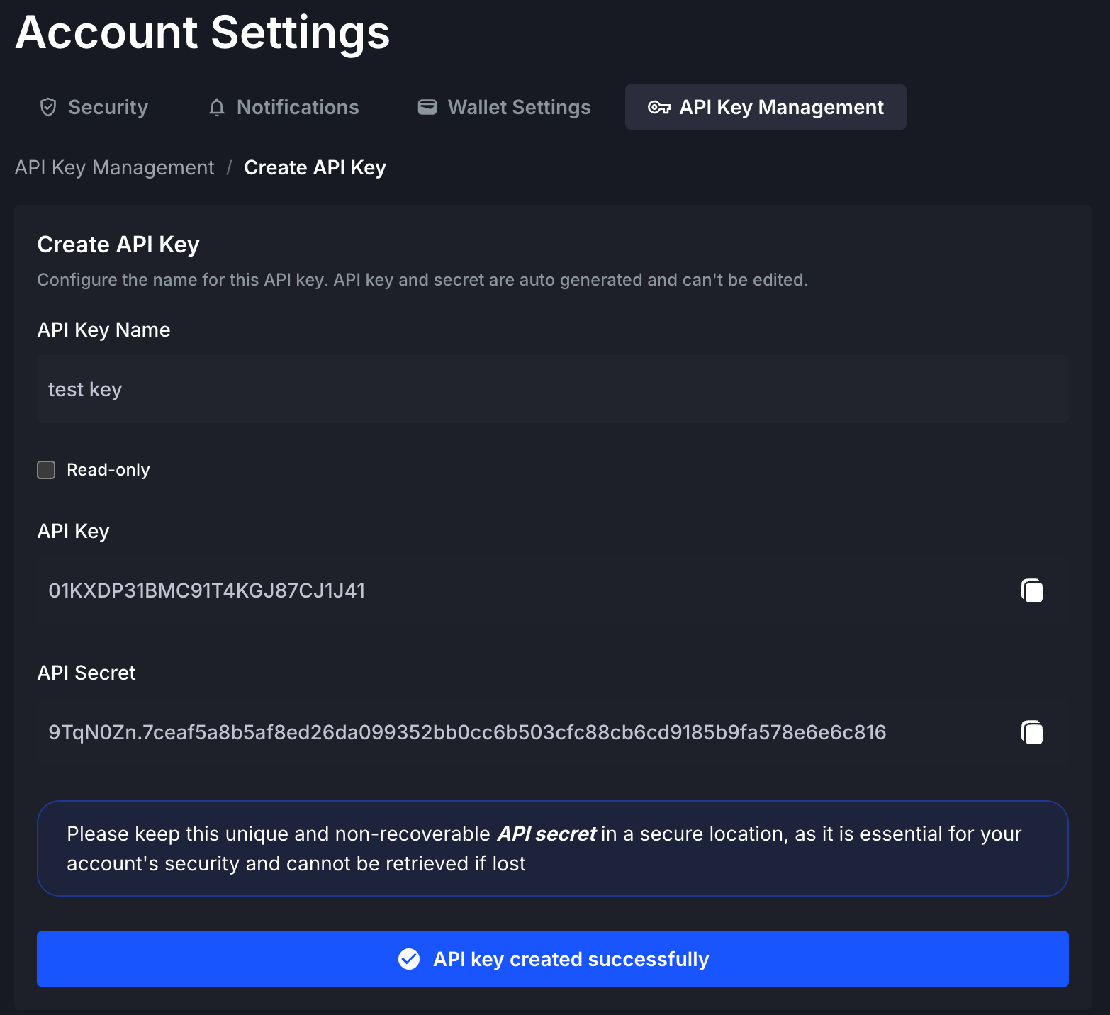 API key created successfully confirmation showing key and secret