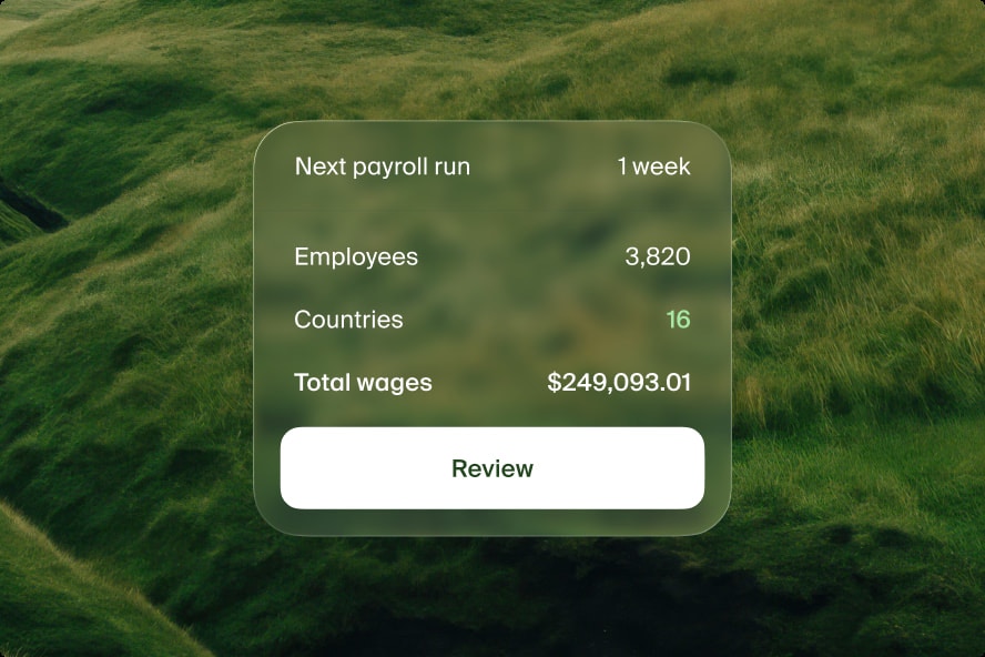 Payroll & contractors