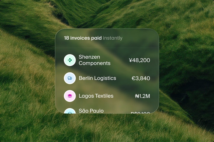 Supplier/vendor payments