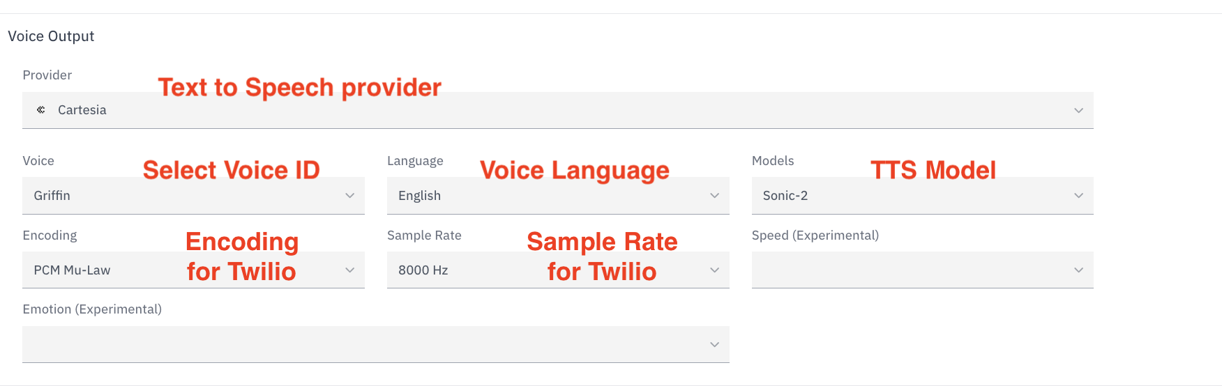 Configure Twilio Step 9