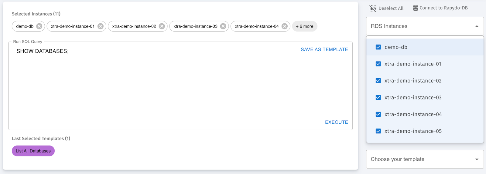 Execute Query View
