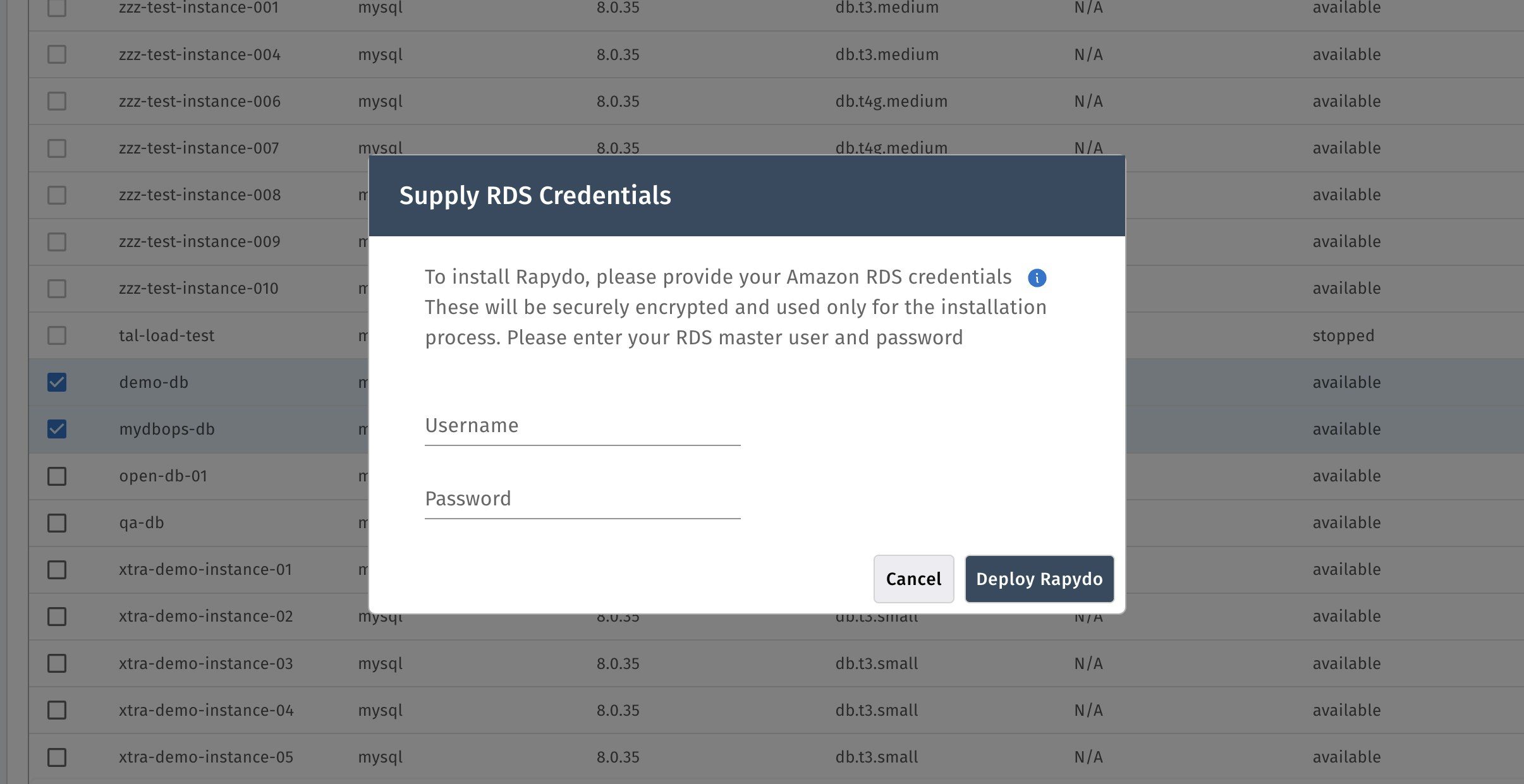 Database Details View