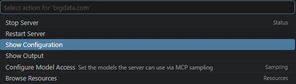 Show MCP configuration