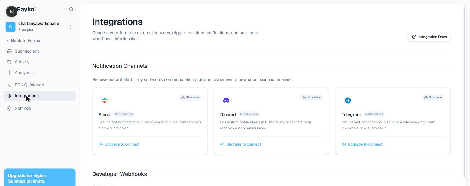 Integrations page in the Raykoi dashboard, showing Notification Channels and Developer Webhooks