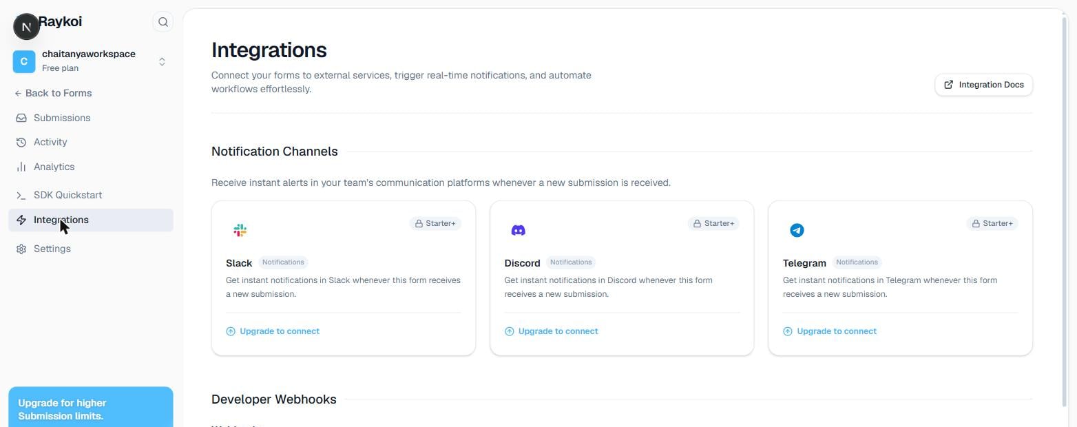 Integrations page in the Raykoi dashboard, showing Notification Channels and Developer Webhooks
