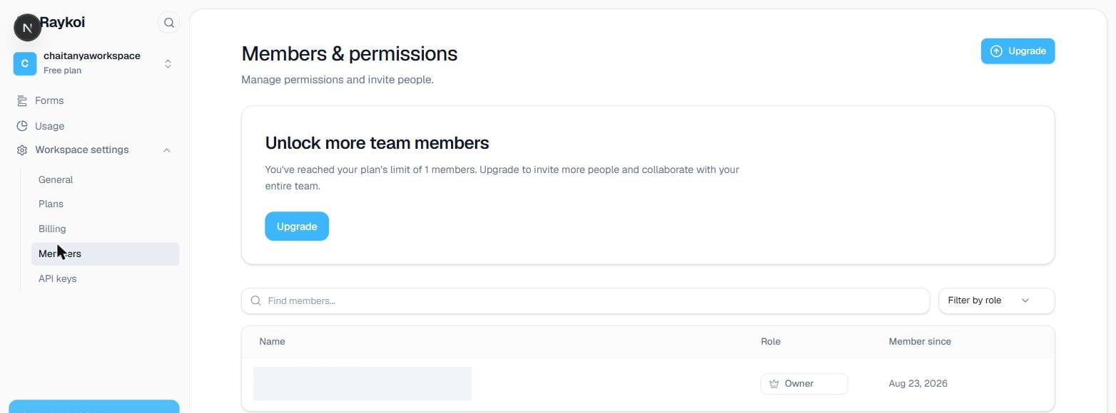 Members & permissions page in the Raykoi dashboard