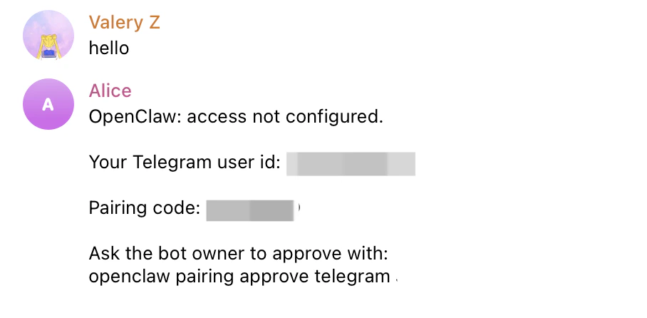Telegram pairing flow