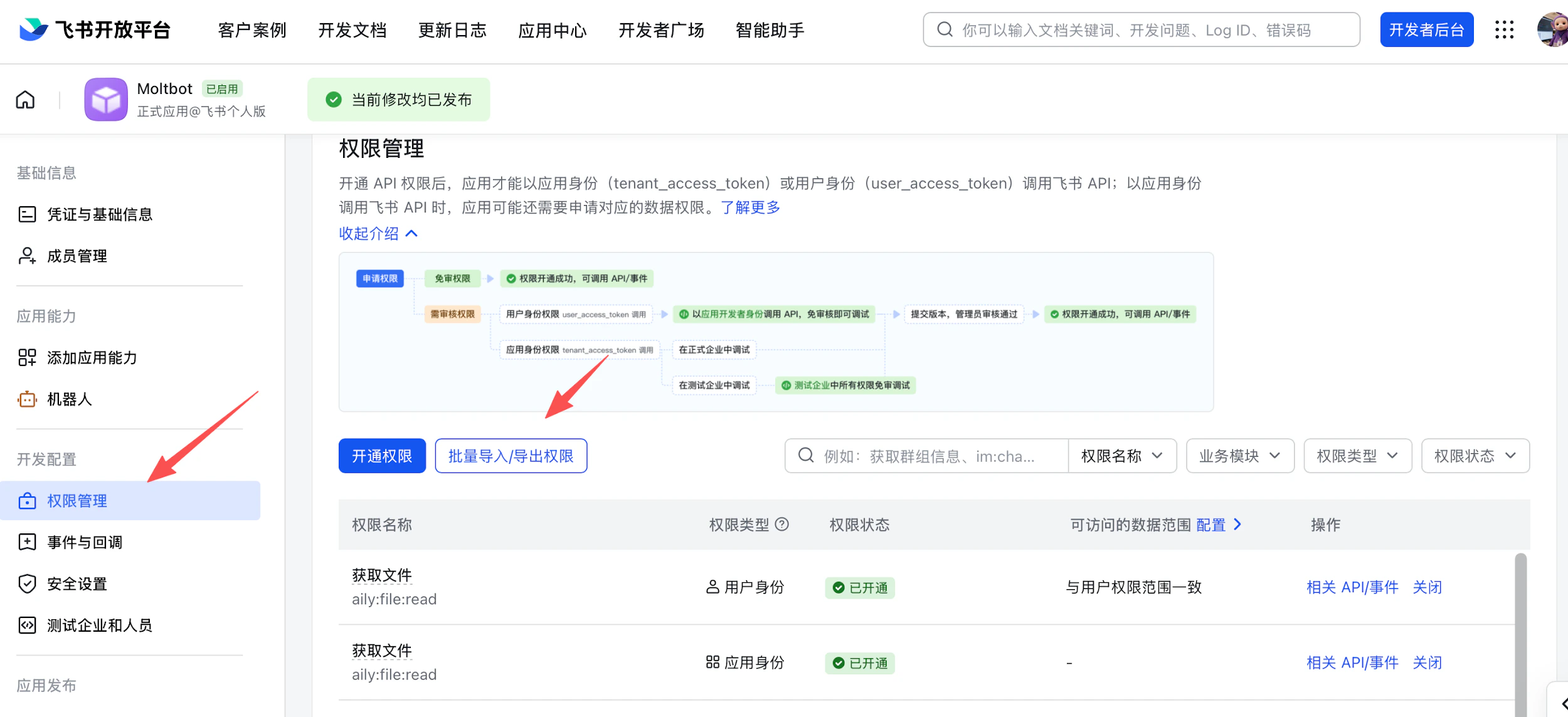 Feishu configure permissions