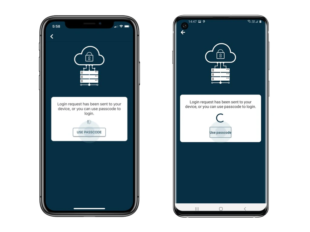 Login with Passwordless