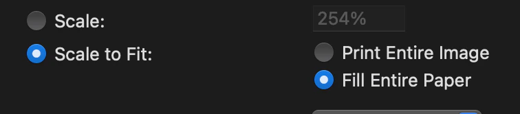 Adjusting Font Appearance in Forms