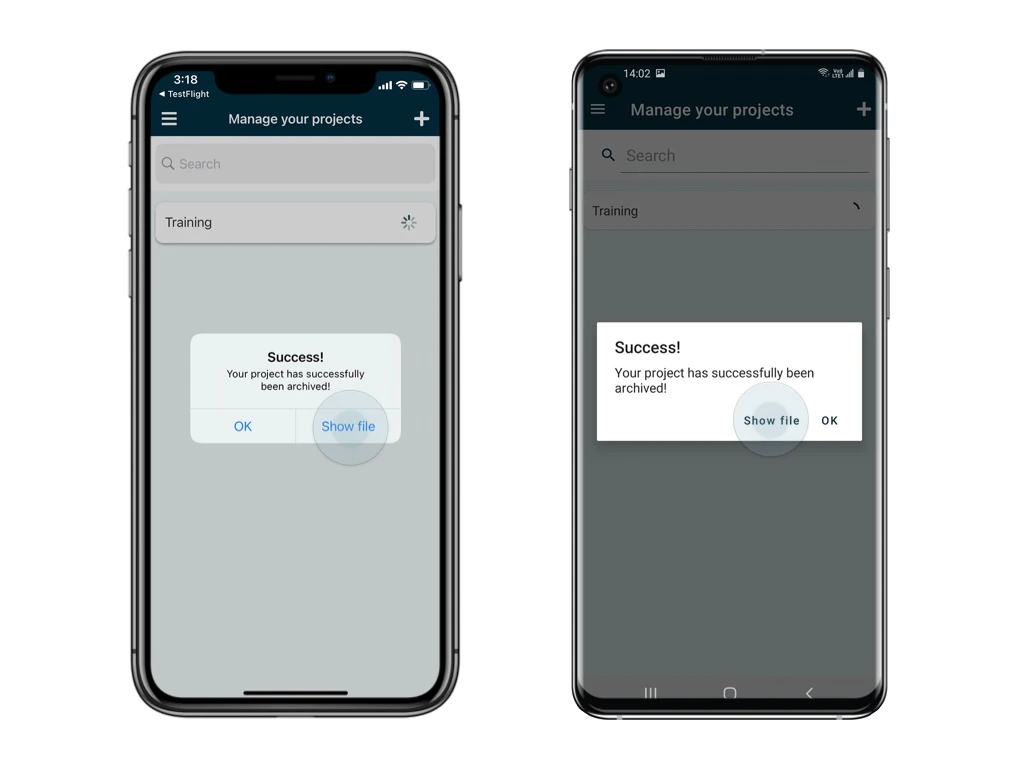 How to export project (database + files) to send to SnagR?