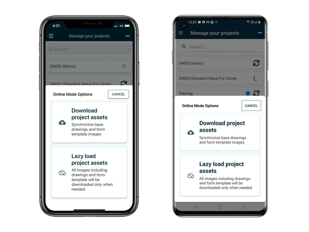 Understanding Project Download Modes in the RDrive App