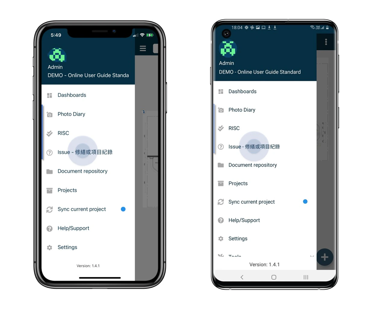How to View an Issue or Record
