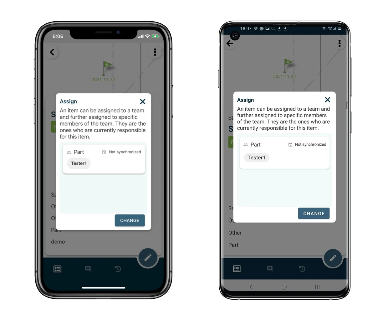 How to assign the issue/record to others?