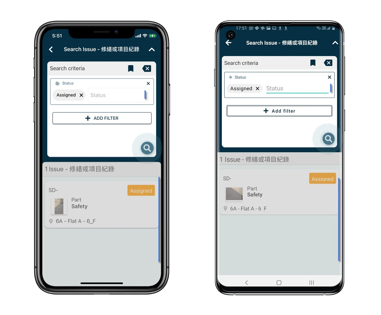 How to view issue/record?