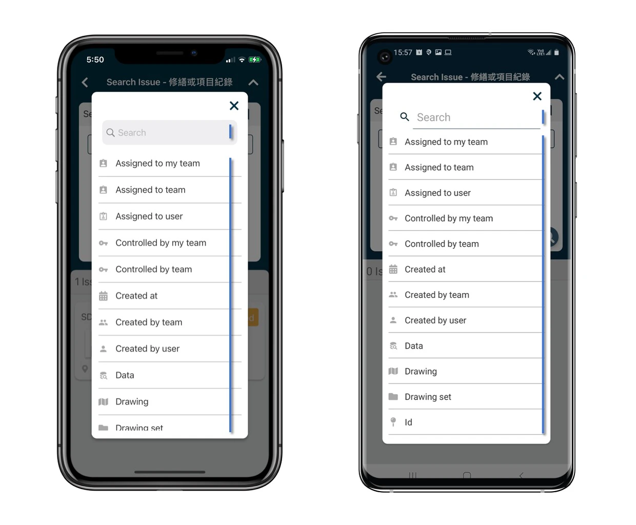 How to view issue/record?