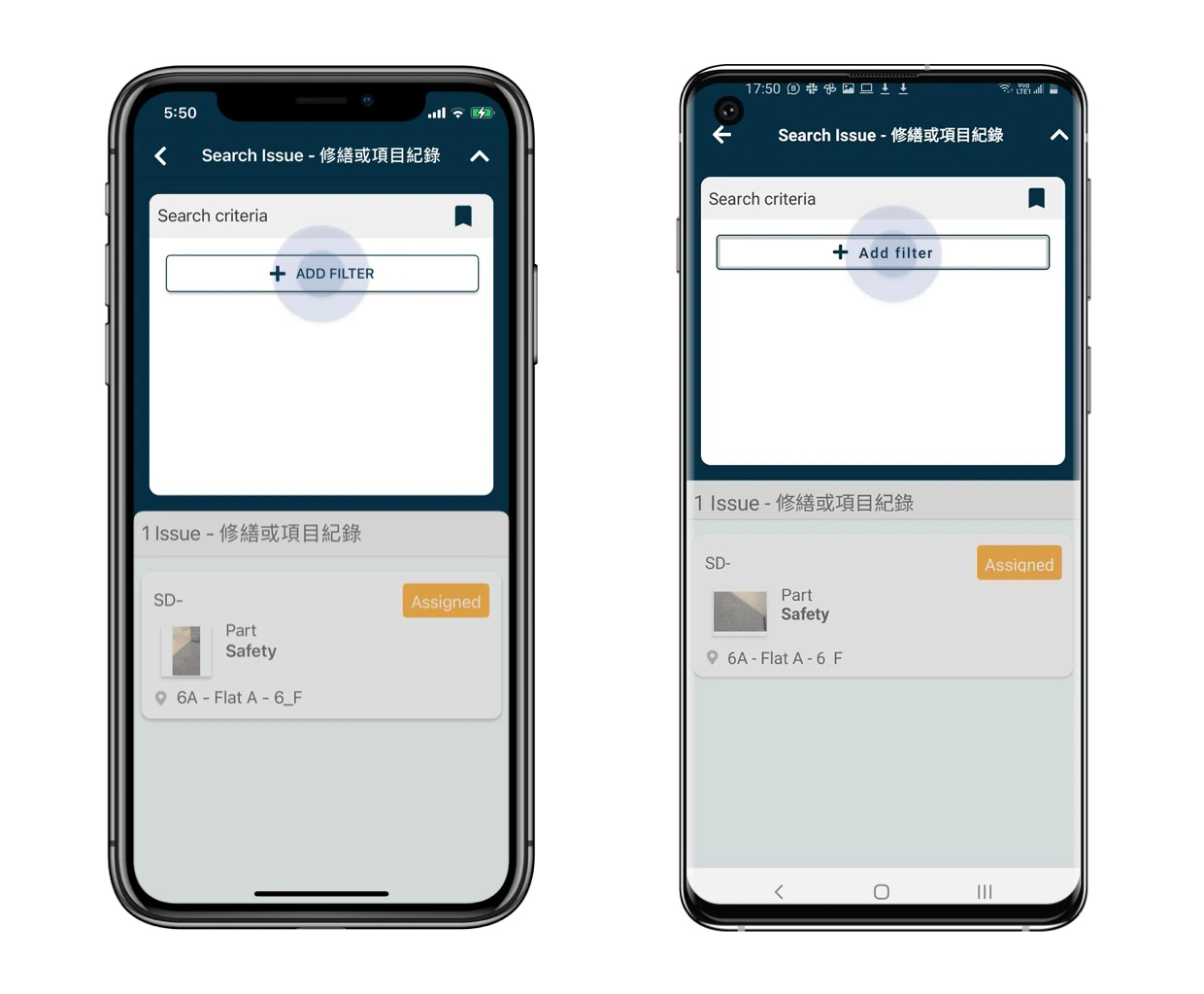 How to view issue/record?