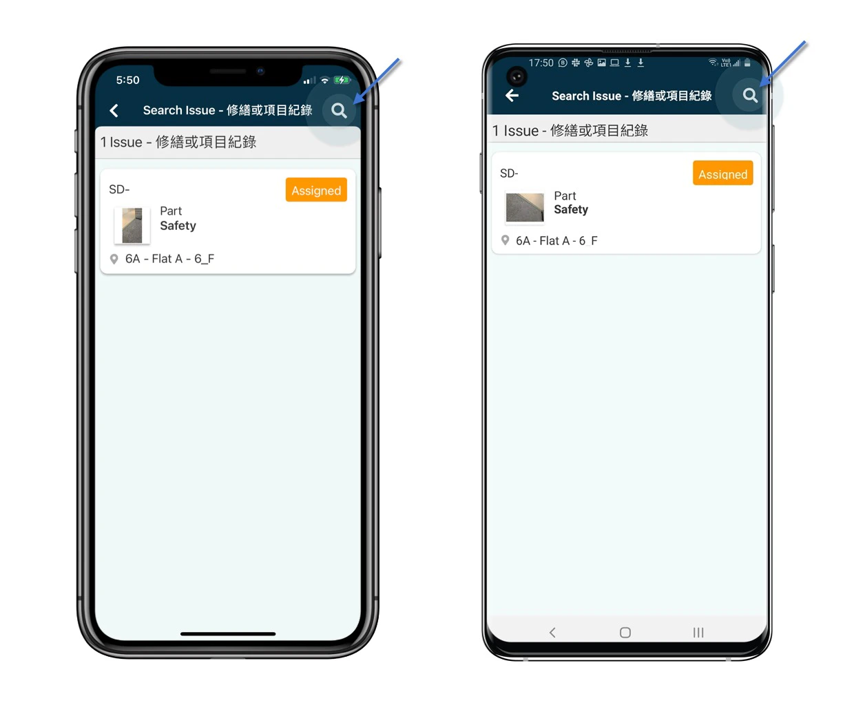 How to view issue/record?
