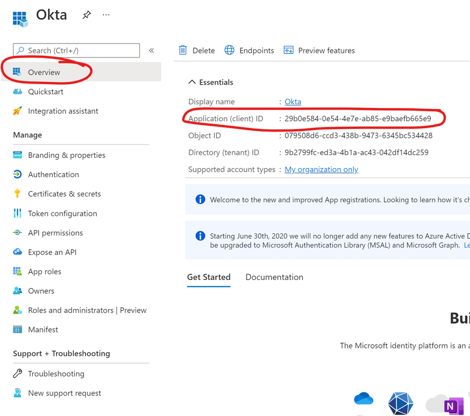 Setting up SSO - Azure AD