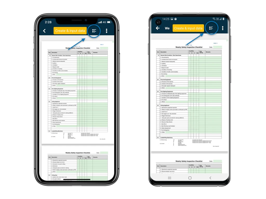 Form view mode & List view mode of Formviewer on APP