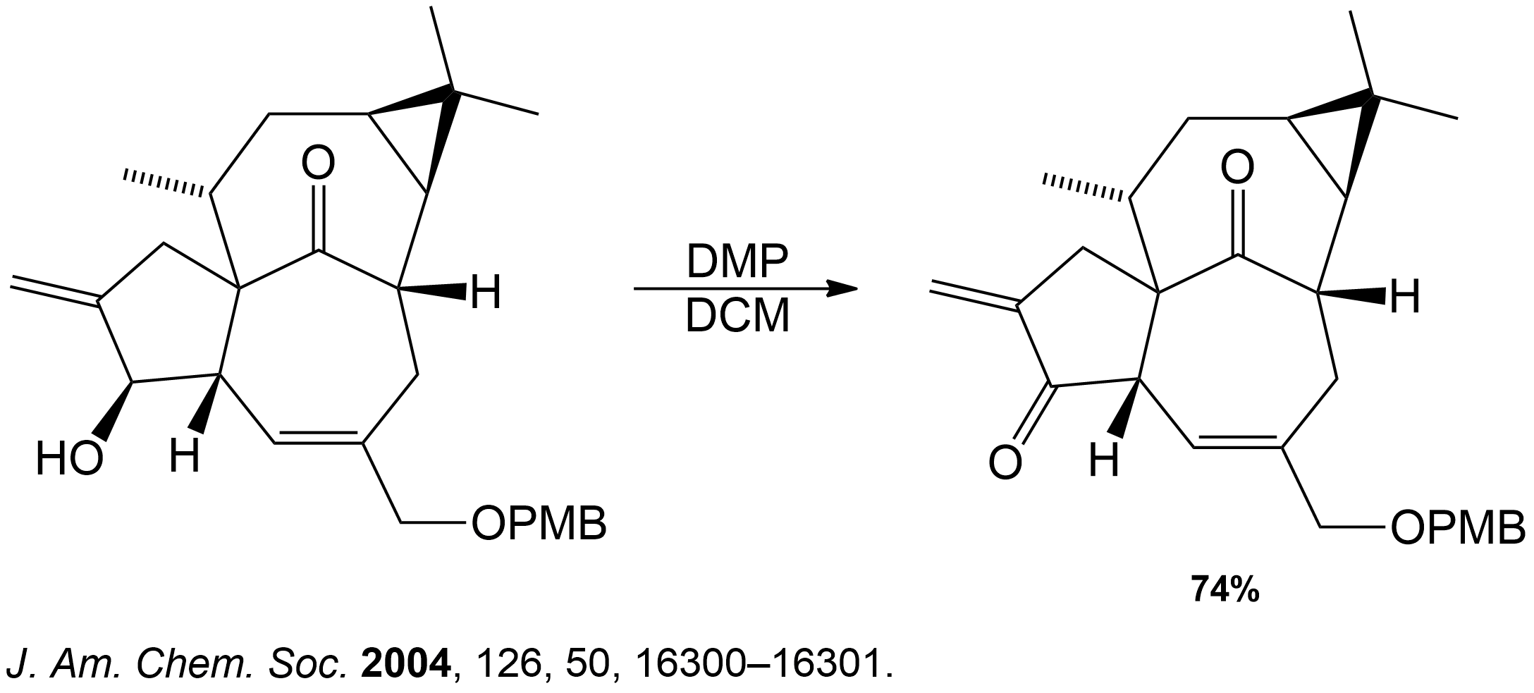 DMP Oxidation (Light Mode) Hero Light